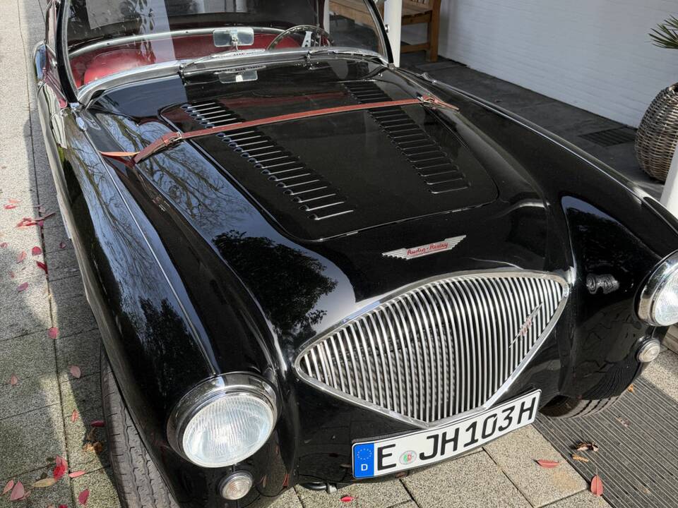 Image 5/8 of Austin-Healey 100/4 (BN1) (1954)