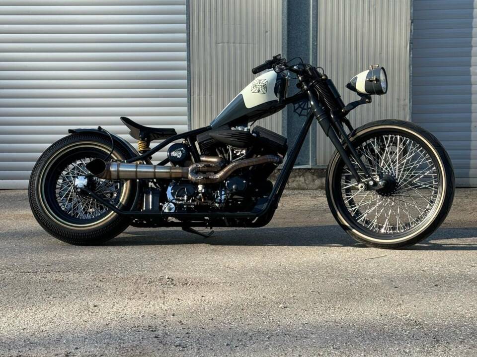 Imagen 8/60 de Harley-Davidson DUMMY (2017)