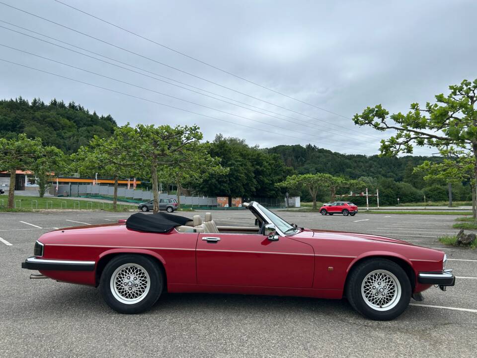 Image 4/40 of Jaguar XJS 5.3 V12 (1991)