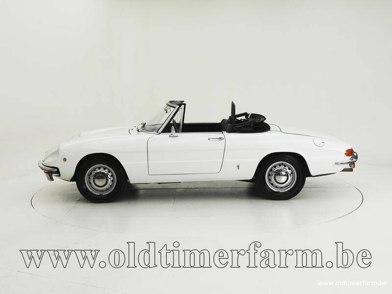 Image 8/15 of Alfa Romeo 1300 Spider Junior (1969)