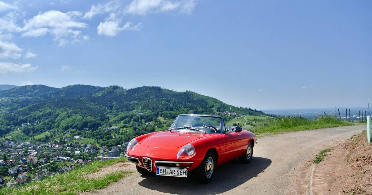 Alfa Romeo Spider Classic Cars for Sale Classic Trader